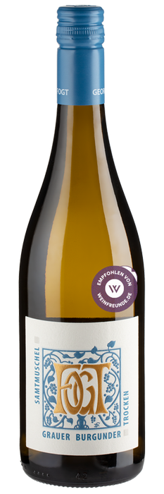 Samtmuschel Grauer Burgunder trocken