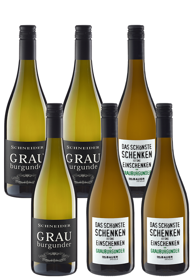 Pfälzer Winzer-Battle