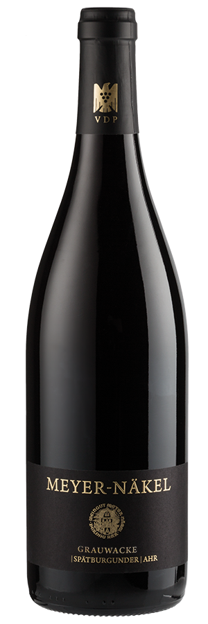 Grauwacke Spätburgunder trocken