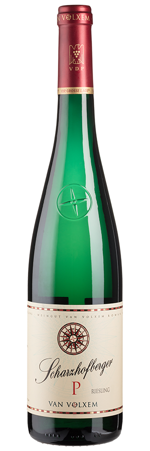 Scharzhofberger Pergentsknopp Riesling Großes Gewächs trocken