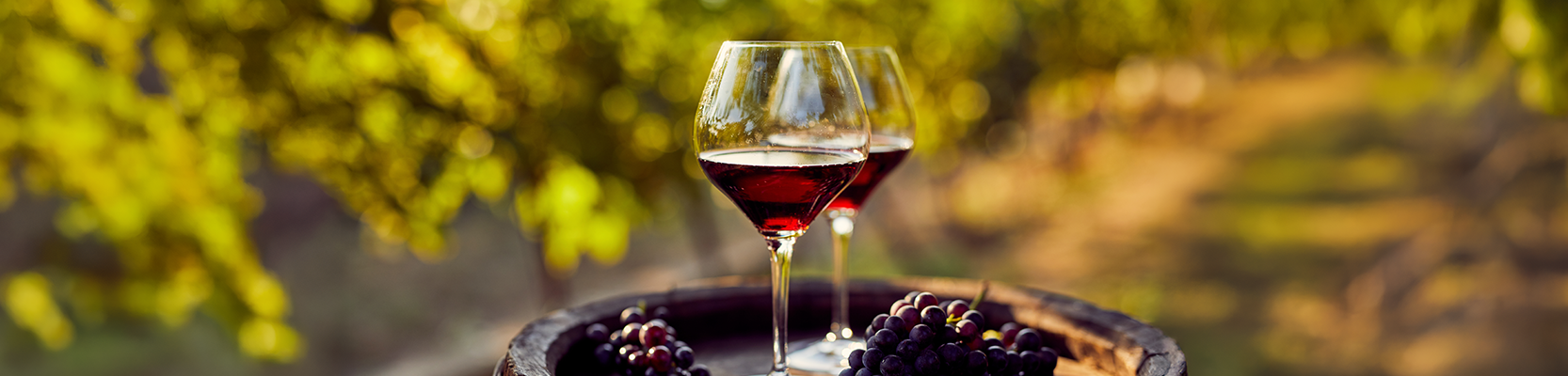 Zwei Rotweingläser auf Weinfass.