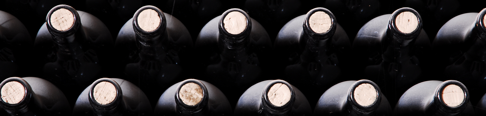 Weine zum Lagern