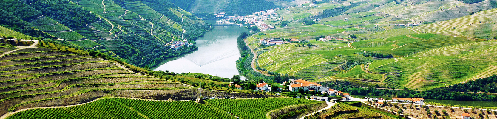 Header_Douro.png