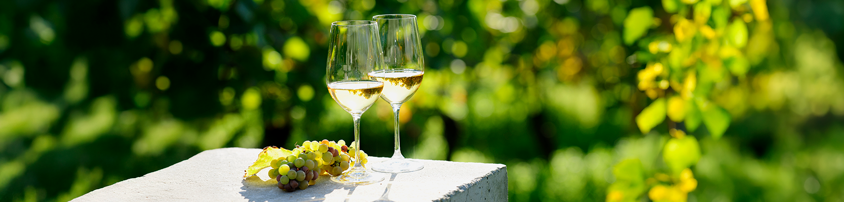 Zwei Weißweingläser auf Stein.