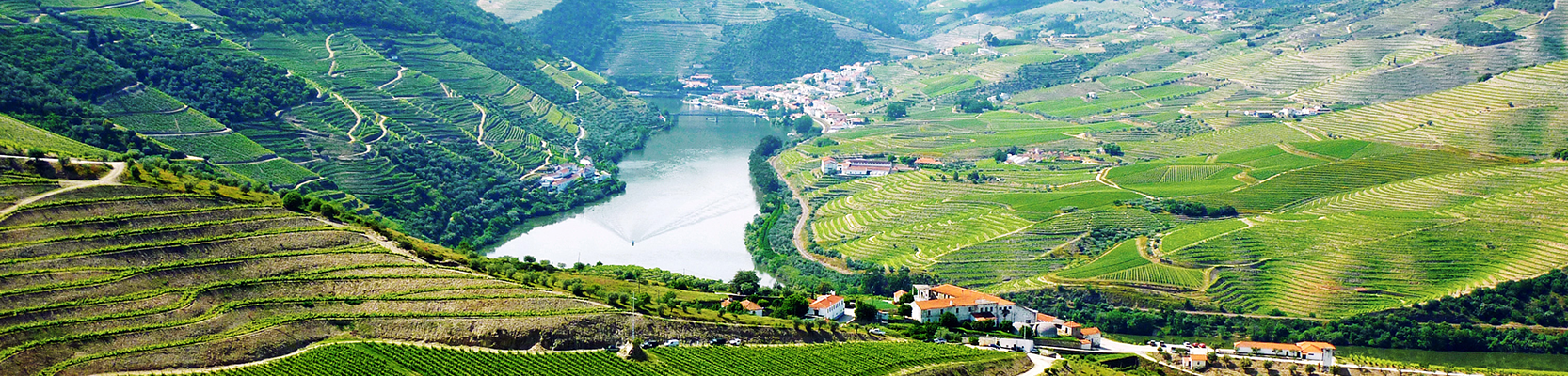 Portugal Weinberge an einem Fluss