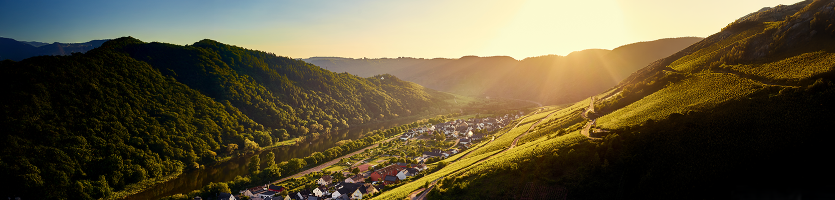 Weinberge in Deutschland