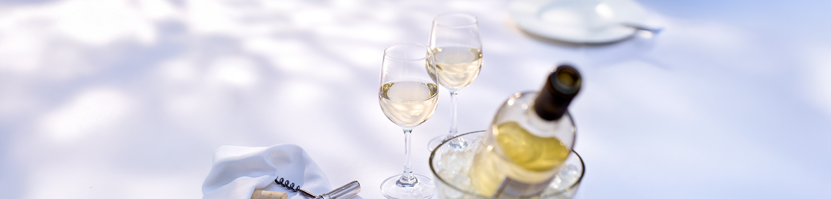 Zwei Weißweingläser auf weißem Tisch.