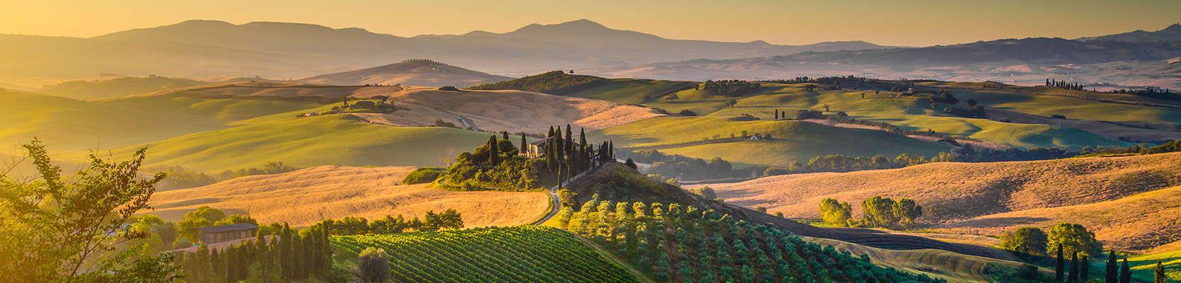 Weinberge in Italien