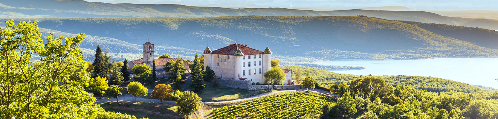 Weinberge mit Chateau in Frankreich