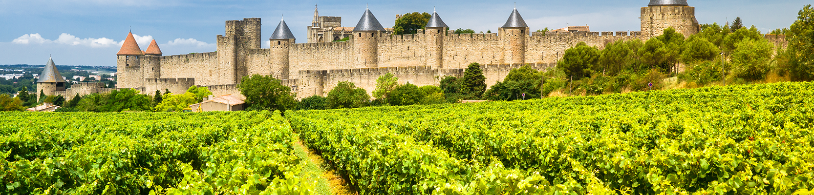 Languedoc-Roussillon Weinberg vor einer Burg