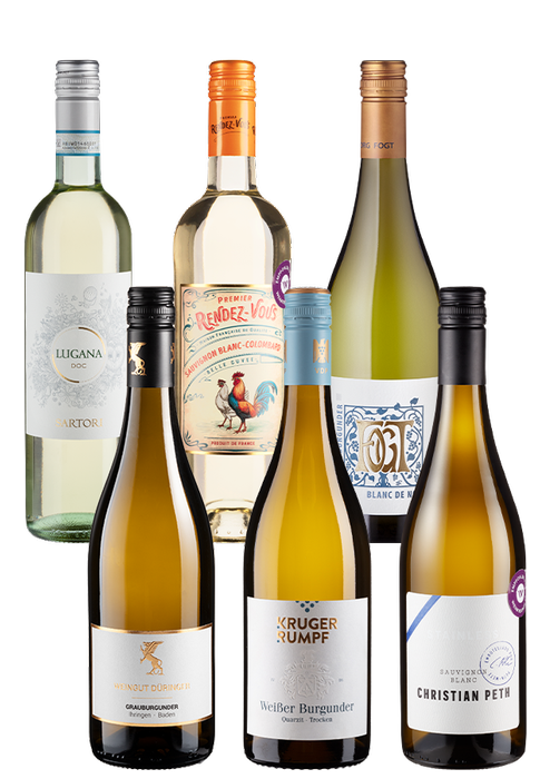 6er-Paket Weißwein-Flight