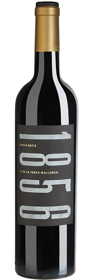 Macià Batle