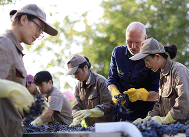 Chateau Changyu Moser XV