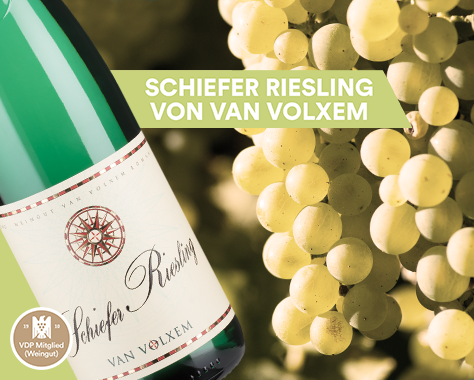 Schiefer Riesling von VDP-Weingut Van Volxem