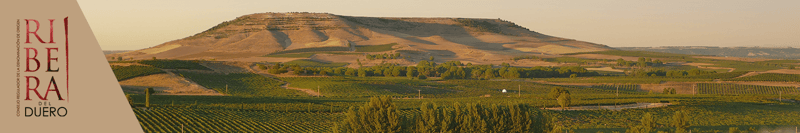 Ribera del Duero