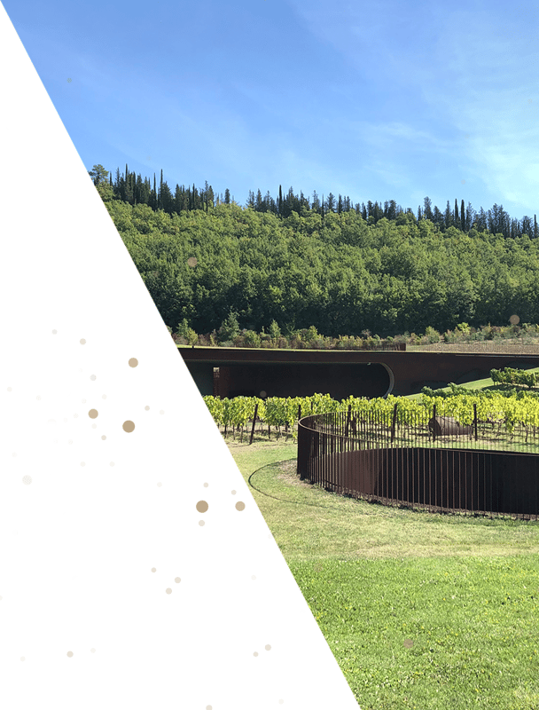 Weingut Antinori
