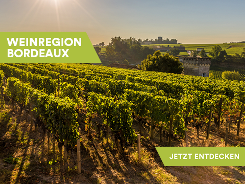 Weinregion Bordeaux
