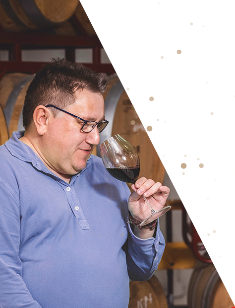 Bodegas Raices Ibericas