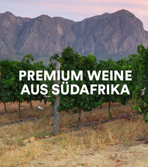 Premium Weine aus Südafrika