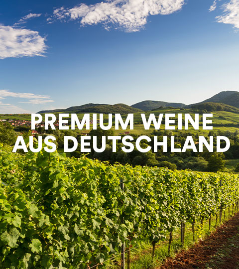 Premium Weine aus Deutschland