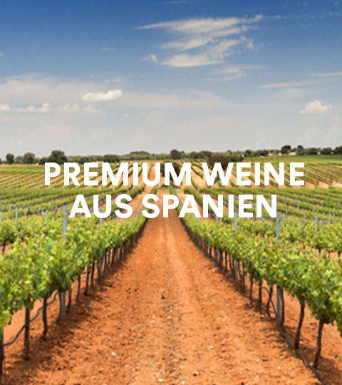 Premium Weine aus Spanien