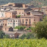 Katalonien: Cava und trockener Rotwein aus dem Nordosten von Spanien