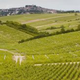 Aus der Region Loire stammen etwa zehn Prozent der gesamten Weinproduktion Frankreichs. Das „Val de Loire“ erstreckt sich mit einer Rebfläche von 70.000 Hektar entlang des Flusses Loire