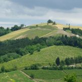 Lombardei: Spitzenweine aus dem Norden Italiens