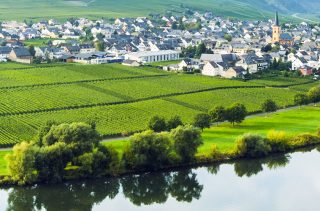 Weinregion Mosel