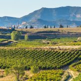 Rioja: Exzellente Cuvées
