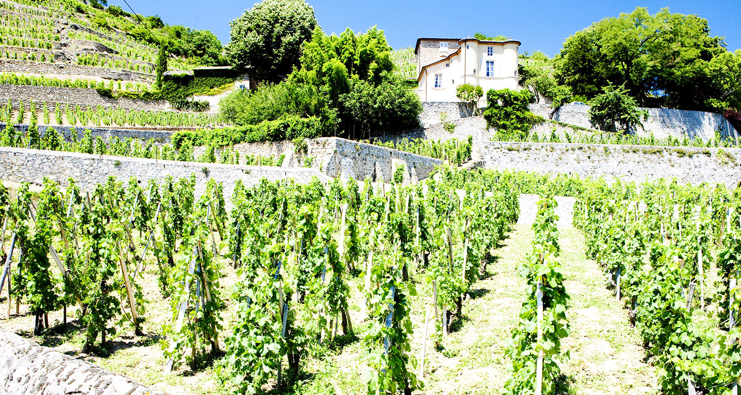 Rhône Chateau Grillet