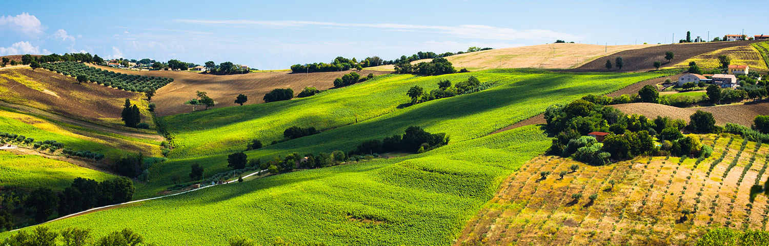 Weinland Italien Marken