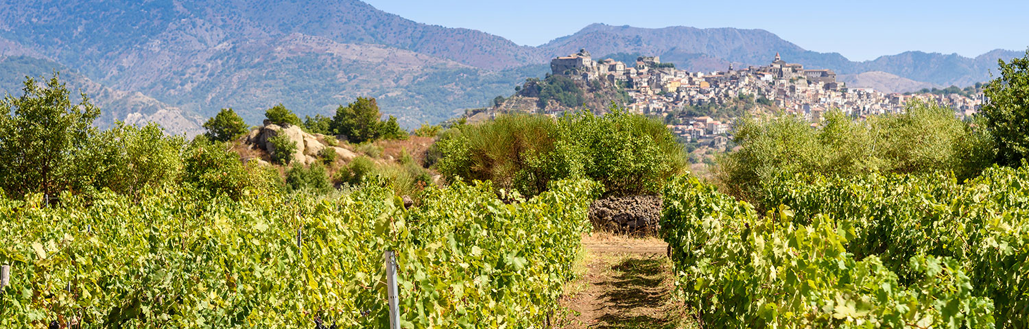 Weinland Italien Silzilien