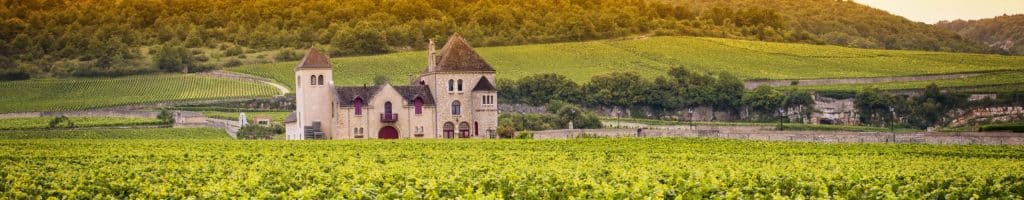 Ein Mythos: die Weinregion Burgund » Weinfreunde Magazin