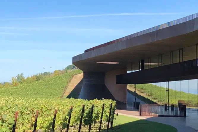 Antinori - Weingut