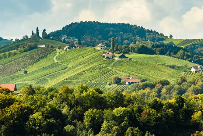 Weinregion Steiermark