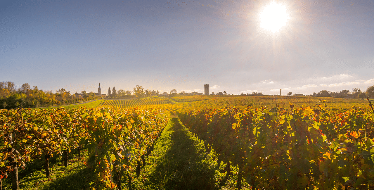 Lage im Médoc