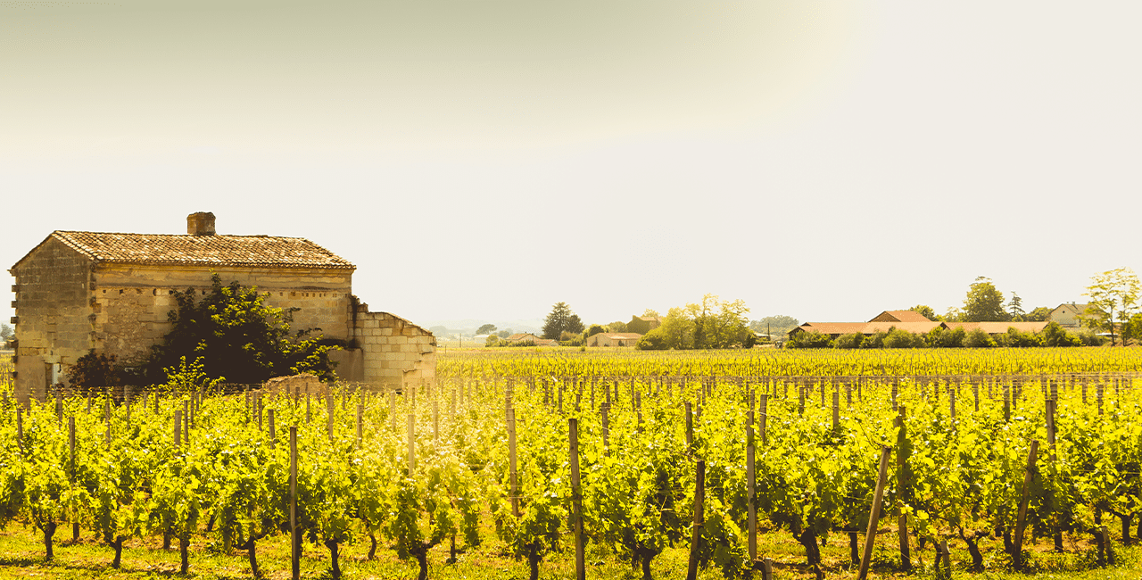 Lage in Saint-Émilion