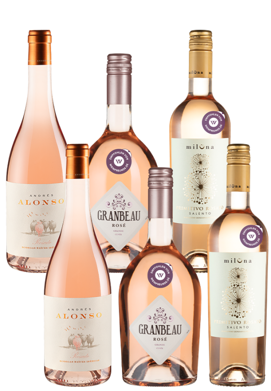 Image of 6er-Paket Rosé Helden - Weinpakete