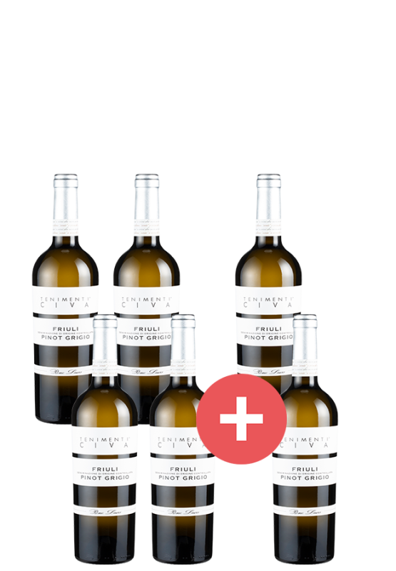 Image of 4+2-Paket Pinot Grigio Tenimenti Civa - Weinpakete aus Italien