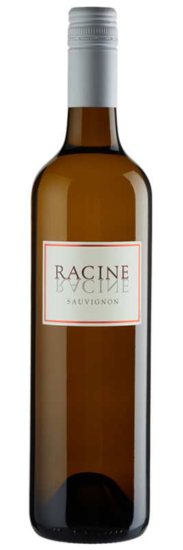 Racine Sauvignon Blanc (2023) - Vinovalie - Weißwein aus Frankreich - Weinfreunde