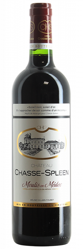 Image of Château Chasse-Spleen Moulis-en-Médoc (2019) - Chasse-Spleen - Rotwein aus Bordeaux, Frankreich