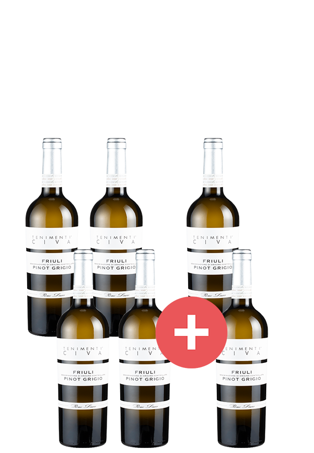 4+2-Paket Pinot Grigio Tenimenti Civa 