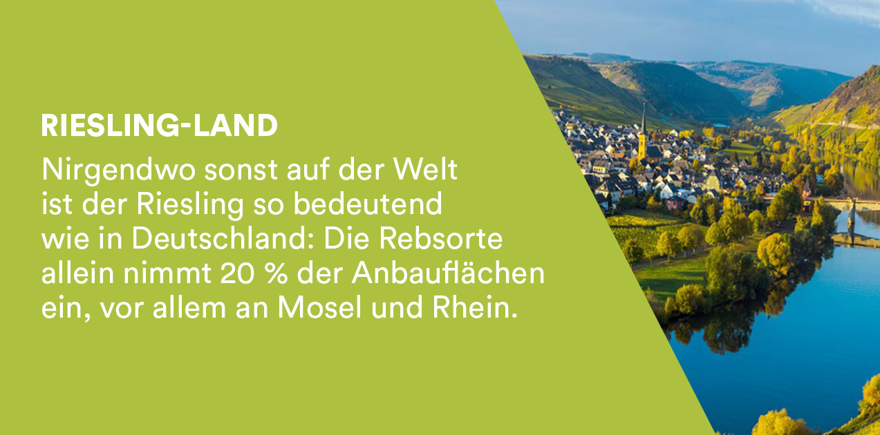 Deutschland Riesling-Land