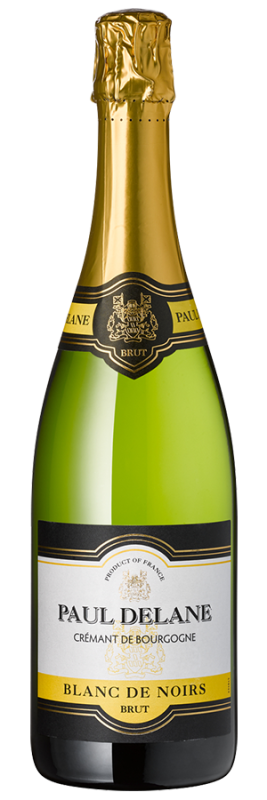 Crémant de Bourgogne Brut - Caves de Bailly Paul Delane - Schaumwein aus dem Burgund, Frankreich - Weinfreunde