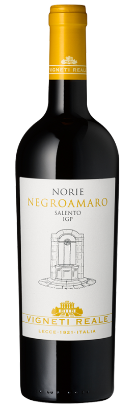 Norie Negroamaro del Salento (2021) - Vigneti Reale - Rotwein aus Apulien, Italien - Weinfreunde