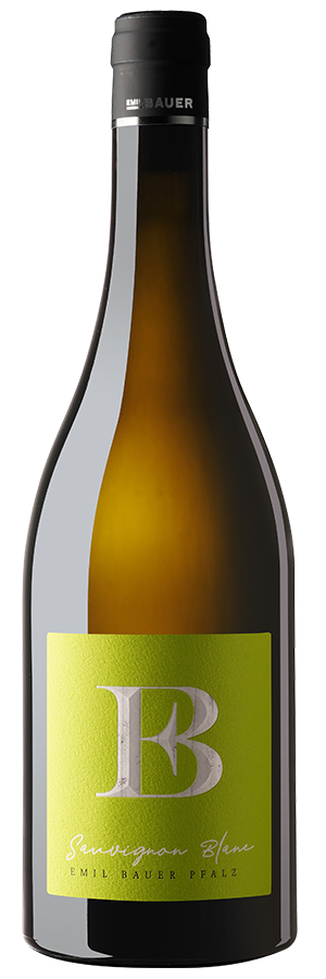 Sauvignon Blanc Nussdorf 2024