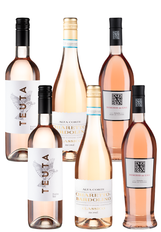 Image of 6er-Studipaket Rosé-Entdeckungen - Weinpakete