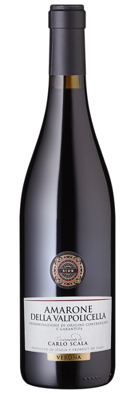 Image of Amarone della Valpolicella (2019) - Zamuner - Rotwein aus Italien