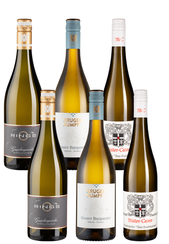 Image of 6er-Paket VDP-Winzer Grauburgunder - Weinpakete